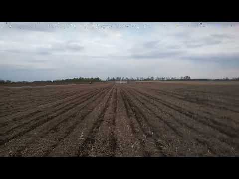 Видео: 30.04.22 Вега-8. ДКС-3939(69) Посів з мінімальними витратами.