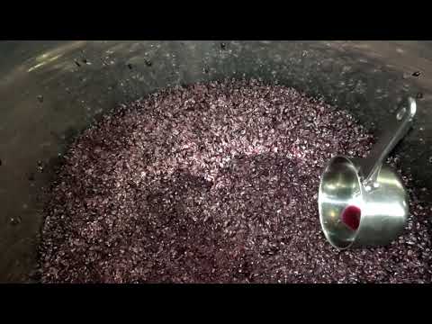 Видео: Самотёк каберне совиньон 03.11.2025 