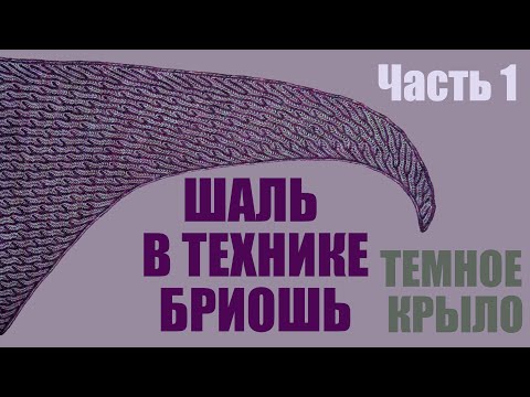 Видео: Шаль в технике бриошь *Темное Крыло*