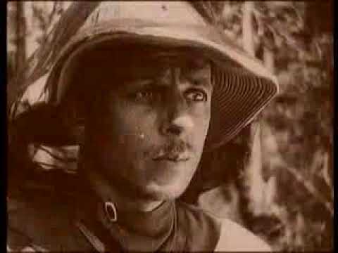 Видео: Фильм-путешествие /Лесные люди (1928г.)