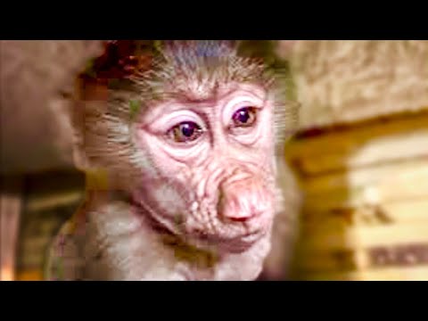 Видео: УДИВИТЕЛЬНАЯ малышка! Мне кажется она копия маленькой Люськи)))