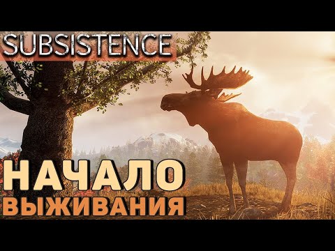 Видео: LP. Subsistence . Гайды для новичков №1