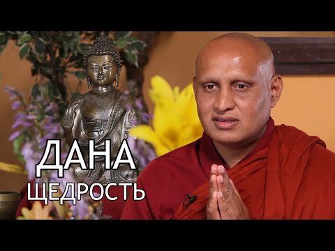 Видео: Бханте Ньянасиха. Дана - Щедрость / Студия Бодхи
