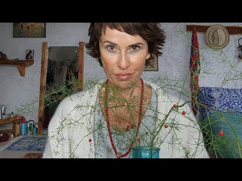 Видео: КТО Я? МОЯ ЦЕЛЬ и КОГО  КОРМЛЮ во СНЕ , М-Ж, ФОКУС ВНИМАНИЯ и ПОЛЕ [Метод Расстановки по Хеллингеру]