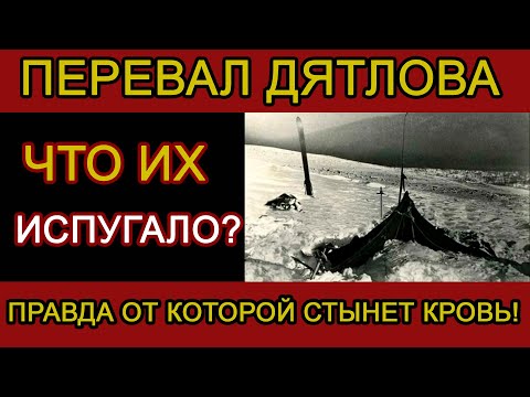Видео: Почему у них не было ЯЗЫКОВ? Самый страшный факт, который НЕ УКЛАДЫВАЕТСЯ В ГОЛОВЕ!