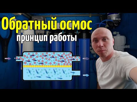 Видео: Обратный осмос: Узнайте принцип работы этой удивительной технологии! 💧🔬