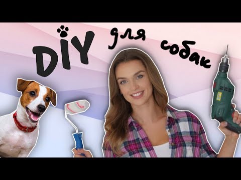 Видео: DIY МЕСТО ДЛЯ КОРМЛЕНИЯ СОБАК | ПОДСТАВКА ДЛЯ МИСОК | ОРГАНАЙЗЕР ДЛЯ ЕДЫ