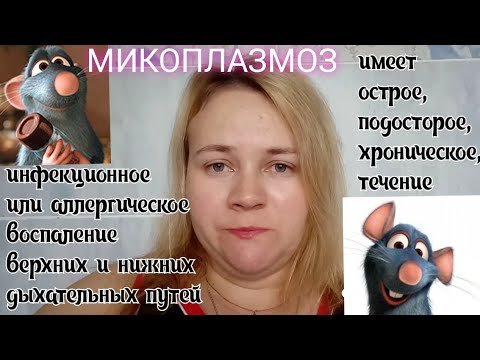 Видео: инфекция у крыс, мышей, хомяков: ринит, пневмония, средний отит, энцефалит, менингит 🐭🐹🐰rat diseases