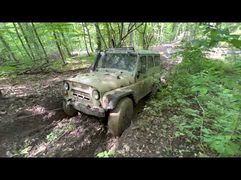 Видео: 7 декабря 2022 г.