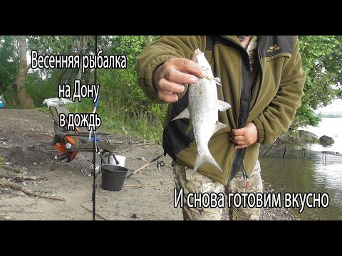 Видео: ВЕСЕННЯЯ РЫБАЛКА на ДОНУ. МАСТЕР-КЛАСС от ШЕФА.