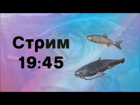 Видео: Играем в турниры! | Ultimate Fishing Simulator | рыбалка
