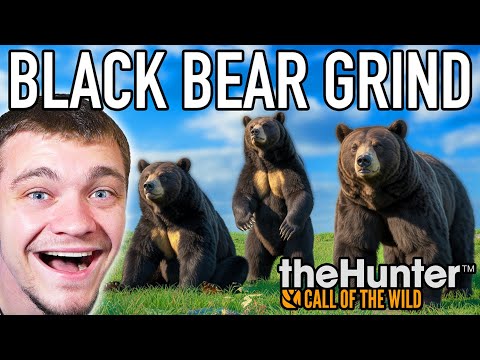 Видео: Охота на алмазного черного медведя!