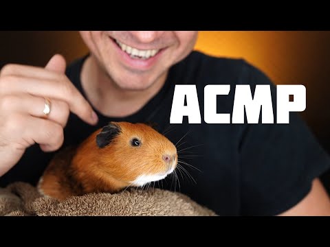 Видео: ASMR, КОТОРОЕ ПЕРЕЗАГРУЗИТ МОЗГ 🔄 Самое милое, что вы слышали