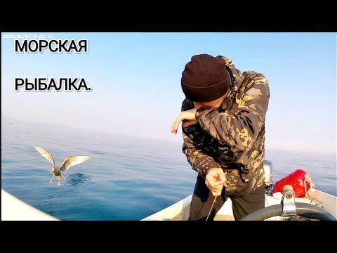 Видео: рыбалка на спининг. рыбы гнут удочки. Приморье.
