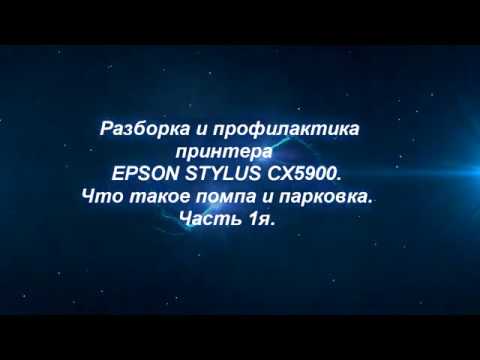 Видео: Ремонт принтера EPSON STYLUS CX5900.