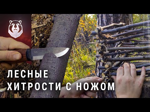 Видео: Навыки в лесу. Проволочная пила, водосборник, хранение еды, лестница. Нож Варя