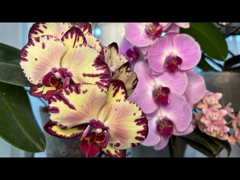 Видео: В гостях у зрителей ( коллекция Людмилы ) часть 1