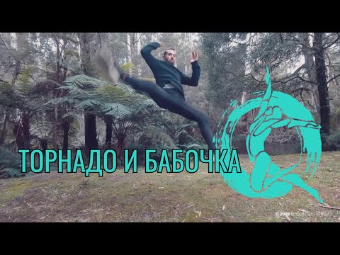 Видео: Торнадо и Бабочка
