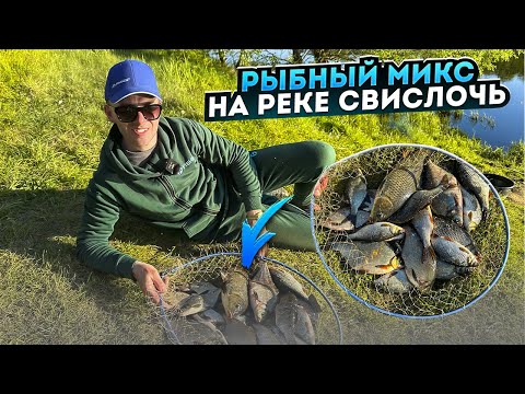 Видео: Фидерная рыбалка на реке Свислочь. Лайфхаки при ловле капризной рыбы.