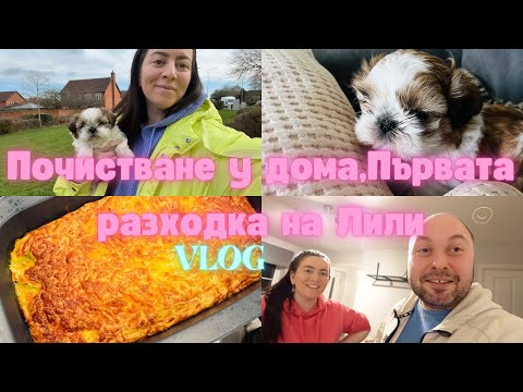 Видео: ПОЧИСТВАНЕ У ДОМА | ПЪРВАТА РАЗХОДКА НА ЛИЛИ | ЗАПЕКАНКА С БРОКОЛИ | ЖИВОТ В АНГЛИЯ | Elly's Vlogs