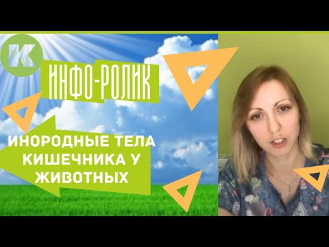Видео: Инородные тела кишечника у животных, как быть? что делать?