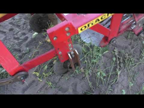 Видео: Беларус 152 Н + доработанная картофелекопалка.