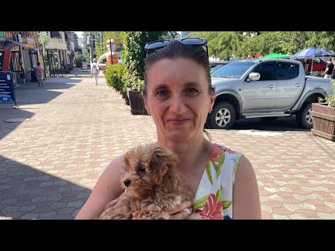 Видео: Сегодня в нашем доме поселился ЩЕНОК МАЛЬТИПУ