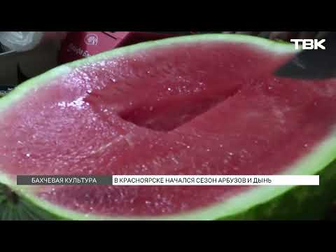 Видео: Сезон бахчевых: как выбрать самый свежий и сладкий арбуз?