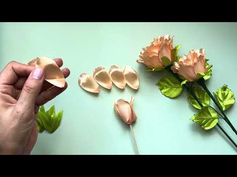 Видео: 11 ноября 2025 г.