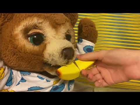 Видео: Мишелька в бассейне