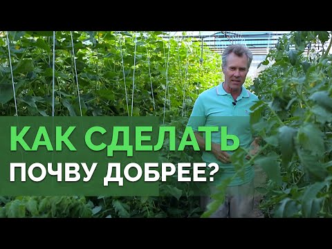 Видео: Чем удобрять огород? | Технология изобилия