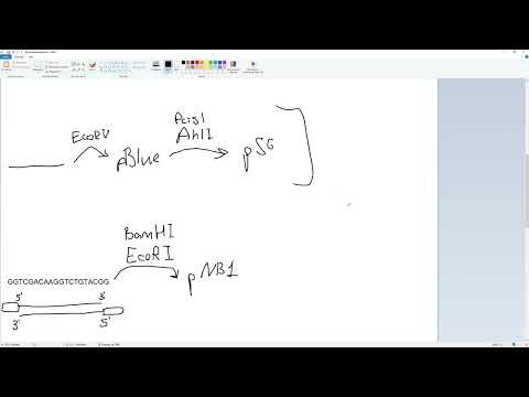 Видео: GI2. Как решать задачи на клонирование: in silico клонирование