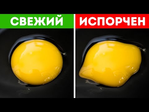 Видео: 75 советов, которые помогут в любой ситуации