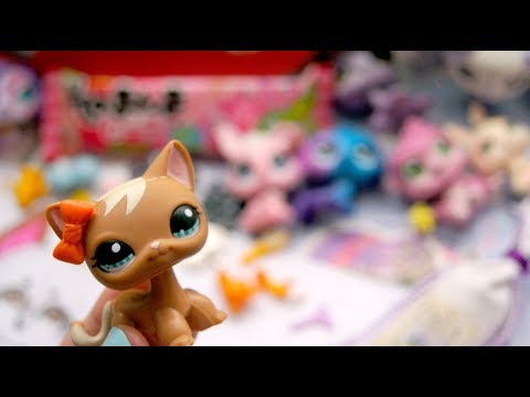 Видео: LPS: ФАН ВСТРЕЧА В МОСКВЕ