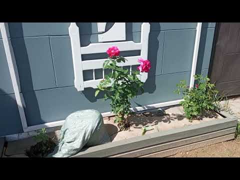 Видео: навес на две машины ч 3