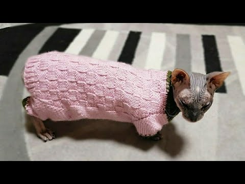 Видео: МК"Свитер - комбинезон для сфинкса"