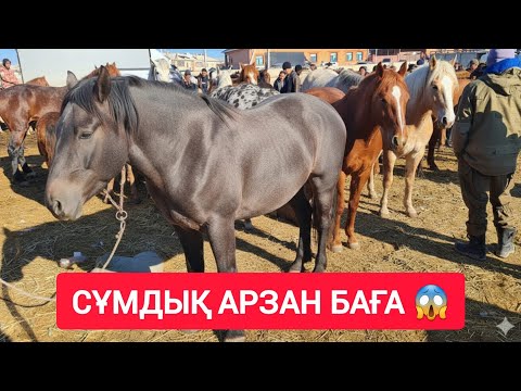 Видео: МАСҚАРА НЕ ДЕГЕН ТӨМЕН БАҒА, ҚҰНАН, ТАЙ, ДӨНЕН БИЕ БАҒАЛАРЫ.