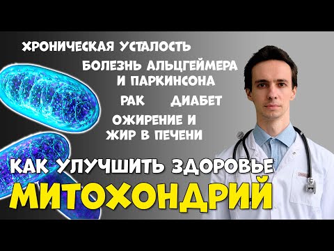 Видео: Митохондрии - источники энергии и виновники болезней. Как улучшить здоровье митохондрий