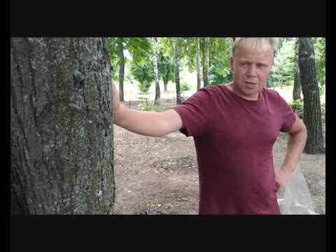 Видео: Размножение рододендронов (1 часть).