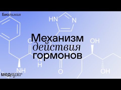Видео: Механизм действия гормонов