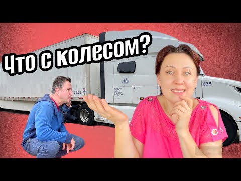 Видео: Закупаемся в элитном магазине Амазона США// Дальнобой по США 2024