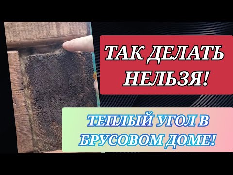 Видео: В брусовом доме делать тёплый угол обязательно!!!