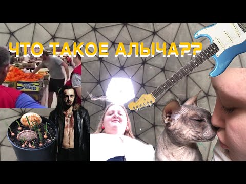 Видео: моя музыкантская жизнь