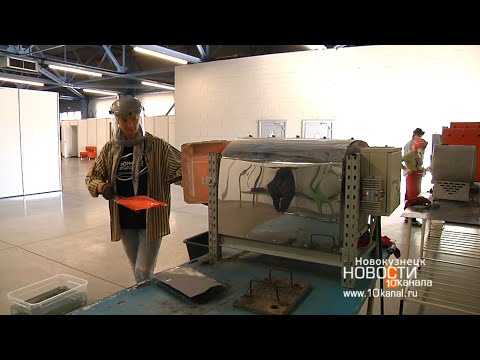 Видео: Чудеса из печи: секретами горячей эмали поделились сами художники