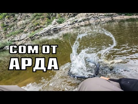 Видео: СОМ от АРДА. КЕФАЛИ в ЖИВОПИСНА ПРИРОДА