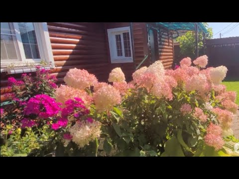 Видео: Приехали с мамой, в деревню🌻🌻🌻