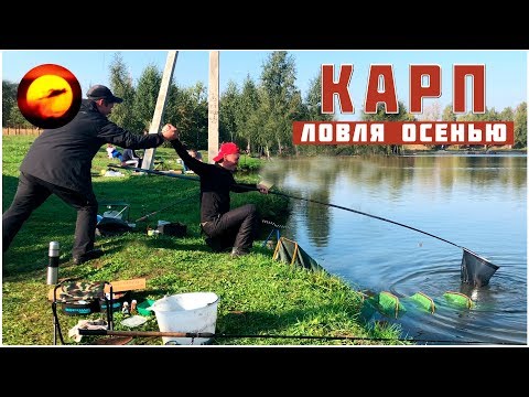 Видео: Ловля карпа осенью / Рыбалка с ночевкой на карпа / Метод ловли карпа / Осенний карп в Еганово