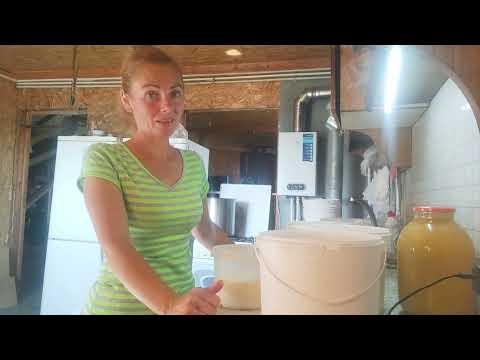 Видео: Снимаю сливки с козьего молока.Делаю сыр.Почему сыр скрипит и что делать