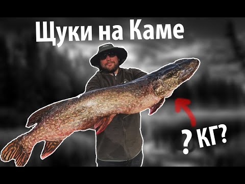 Видео: ЩУКА на 6 КГ на ДЖИГ! ПОПАЛИ В ШТОРМ! КАМА! ВОДОХРАНИЛИЩЕ!