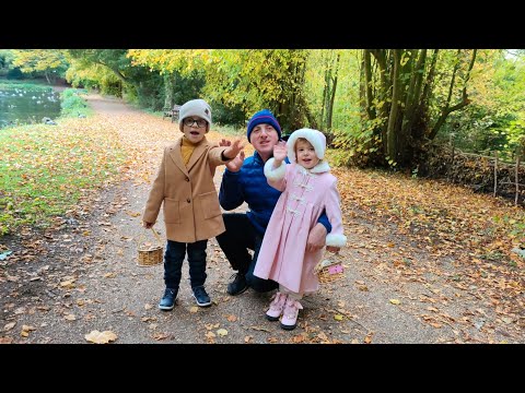 Видео: Гриби.Емік та Амія збирають вперше у житті гриби.  Hardwick park.